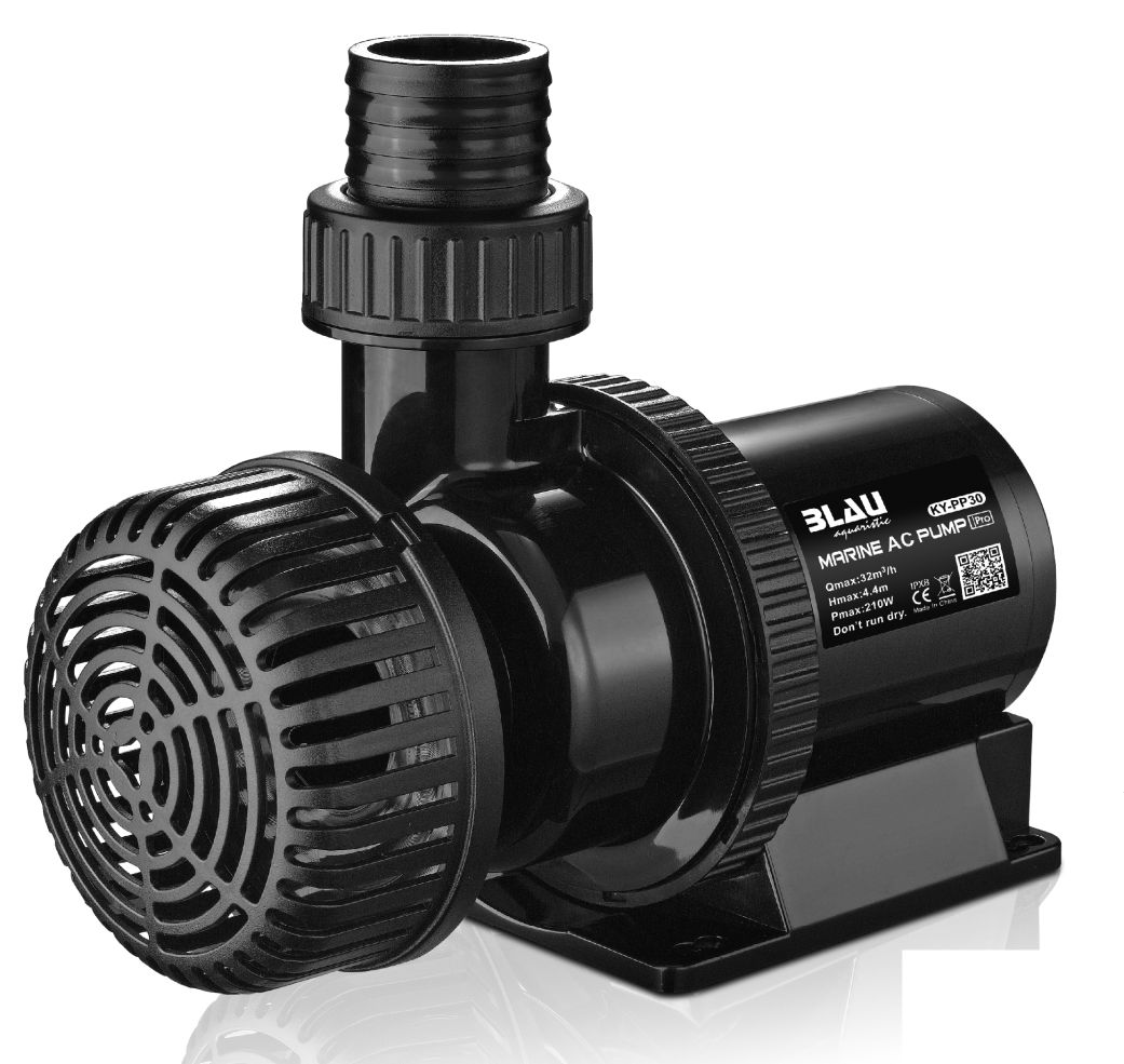 Blau Reef Motion 4KDC